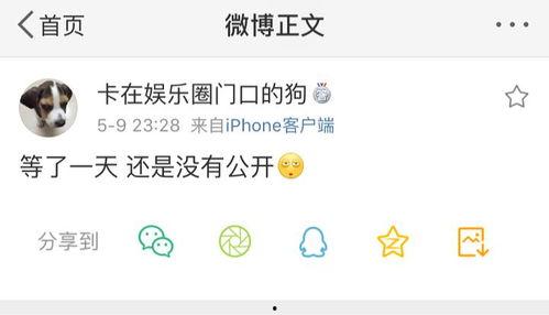 热点爆料功能 17吃瓜fun,揭秘娱乐圈最新热点事件